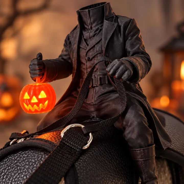 Headless Horseman Cat Costume — gallery photo 6