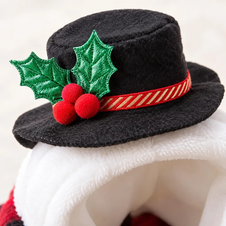 Snowman Dog Costume — gallery photo 6