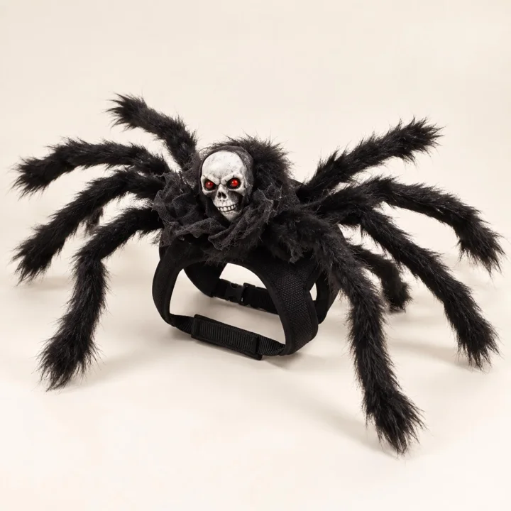 Skull Spider Pet Costume — gallery photo 9
