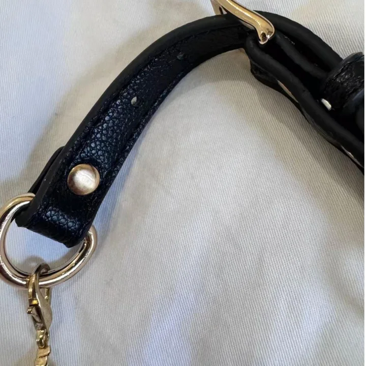 Earth-tone Crystal Dog Collar — gallery photo 5