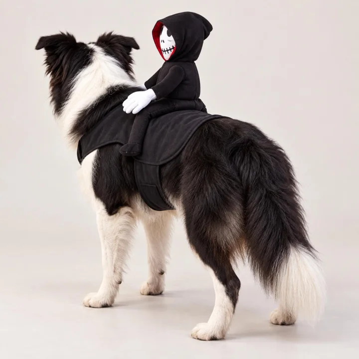 Grim Reaper Rider Dog Costume — gallery photo 2