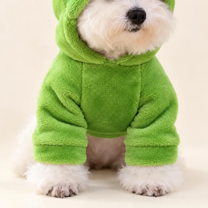Frog Pet Hoodie — gallery photo 2