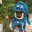 Blue Octopus Dog Costume — gallery photo 2