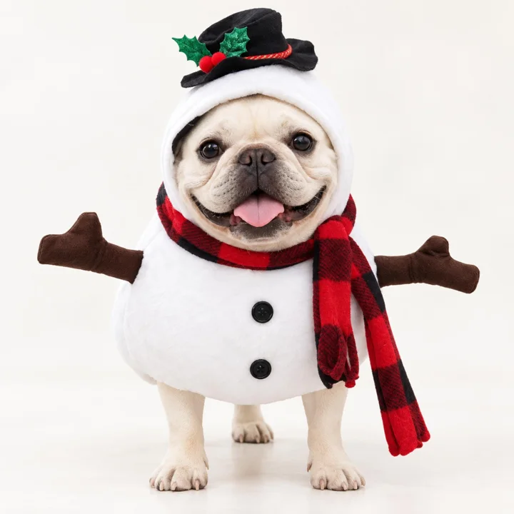 Snowman Dog Costume, Christmas Pet Outfit With Plaid Scarf for Dogs & Cats
