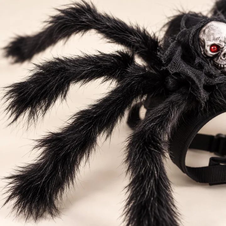 Skull Spider Pet Costume — gallery photo 3
