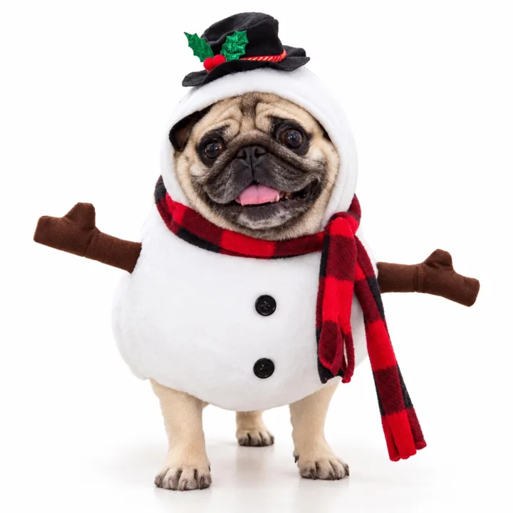 Snowman Dog Costume — gallery photo 2