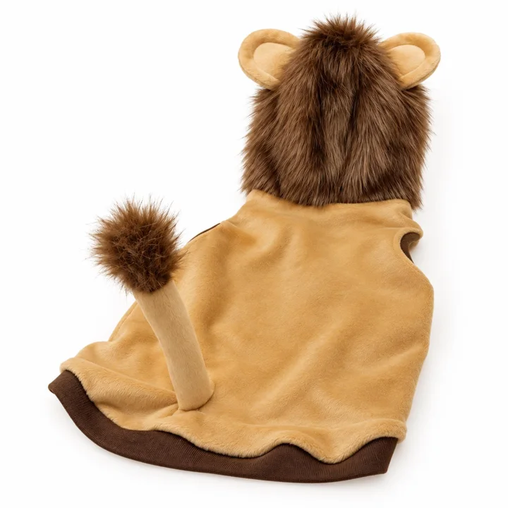 Lion Dog Costume — gallery photo 6