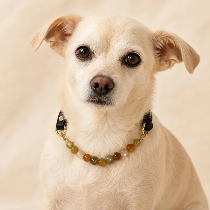Earth-tone Crystal Dog Collar — gallery photo 7