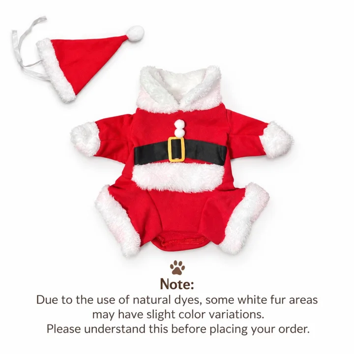 Standing Santa Dog Costume — gallery photo 4