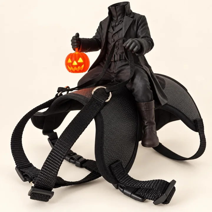 Headless Horseman Cat Costume — gallery photo 4